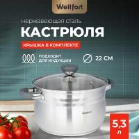 Кастрюля из нержавеющей стали "Harmony Wellfort" объемом 5,3 литра