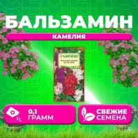 Бальзамин садовый Камелия, смесь, 0,1г, Гавриш, Цветочная коллекция (1 уп)