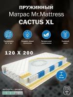 Матрас Mr. Mattress CACTUS XL 120x200