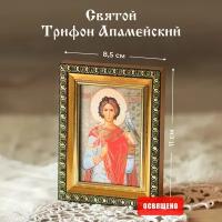 Икона освященная "Святой Трифон Апамейский" в раме 8х11 Духовный Наставник