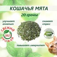 Кошачья мята лакомство для кошек 20 грамм. Котовник сушенный. Для приучения к месту, коррекции поведения, успокоительное