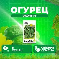 Огурец Эколь F1, 5шт, AgroElita (1 уп)