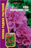 Роза Морщинистая (Rosa rugosa) 10 шт редкие семена