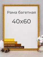 Рама багетная рамка для картин и фоторамка для фото «Мастер Рио» 40х60 см, золотой