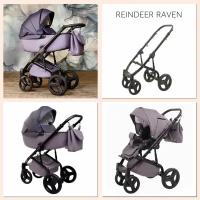 Универсальная коляска Reindeer Raven, 2 в 1, фиолетовый, цвет шасси: черный