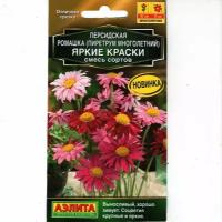 Пиретрум (персидская ромашка) яркие краски, смесь, яркий многолетник ( 1 уп: 0,1 г)