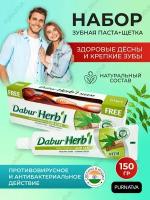 Зубная паста Дабур Хербл Ним (Dabur Herb'l Neem) с зубной щеткой средней жесткости, антибактериальная, для здоровья десен, 150 г