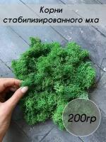 Мох стабилизированный 200 грамм (корни)