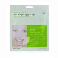 Beauugreen Маска гидрогелевая Snail регенерирующая, c муцином улитки Micro Hole Snail Hydrogel Mask, 30 г