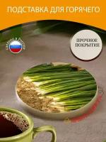 Подставка под горячее "Зеленый лук пуки, собирают лук, свежий лук" 10 см. из блого мрамора