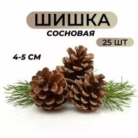 Шишки сосновые, для поделок, декора и рукоделия 25 шт