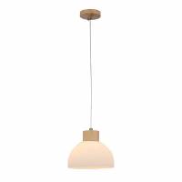 Светильник подвесной Arte Lamp CAPRICE A4184SP-1BR