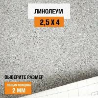 Линолеум для пола на отрез 2,5х4 м Juteks Master Proxi 2, полукоммерческий, 32 класс, 4832909-2,5х4