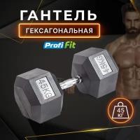 Гантель гексагональная обрезиненная PROFI-FIT 45 кг