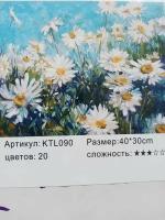 Картина по номерам *Ромашки*30х40