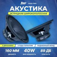 Акустика эстрадная AMP MASS FR65