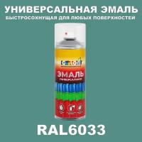 Универсальная аэрозольная эмаль, матовая, RAL 6033