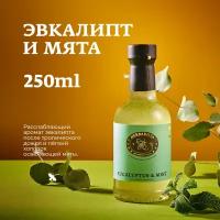 Сироп для кофе и коктейлей, десертов и выпечки Herbarista, Эвкалипт и Мята Eucalyptus & Mint, 250 мл