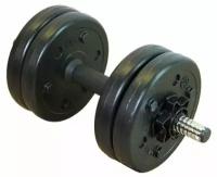 Гантель Lite Weights 3101CD, 5 кг