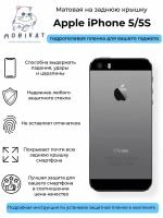 Матовая плёнка на заднюю крышку iPhone 5/5S