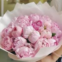 Букет пионов от "Flowerella Premium". Розовые пионы в воздушной белой упаковке. Пионы и др цветы на заказ