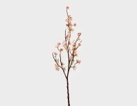Декоративная ветка цветение сакуры, кремовая, 70 см, EDG 215656-54-2