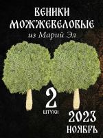 Можжевеловые веники для бани из Марий Эл с ручкой из джута в коробке 2 штуки