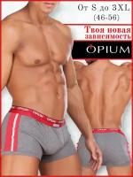 Мужские трусы боксеры серые с лампасами Opium Boxer R68 XXL (54)