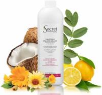 Kydra Secret Professional Shampooing Brillance Couleur Шампунь-блеск для стойкости цвета волос с экстрактом лимона и календулы, 1000 мл