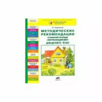 Методическое пособие С-Инфо Разноцветная планета. Методические рекомендации к рабочей тетради Окружающий мир. Для детей 5-6 лет. ФГОС до. 2016 год, Е. Г. Андреевская