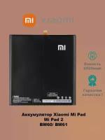 Аккумулятор Xiaomi Mi Pad 2 BM60/BM61