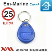 Ключ для домофона Em-marine 4100 (25 шт) не перезаписываемый. Брелок с кодом (идентификатор). Частота 125 КГц. Вносится в контроллер домофона