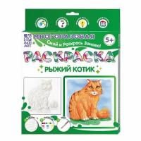 Многоразовая раскраска «Рыжий котик»,20 × 20 см (комплект из 3 шт)