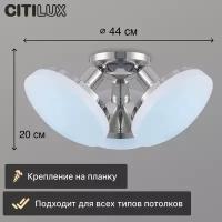 Citilux Тамбо CL716131Nz Люстра светодиодная с диммером