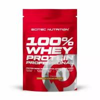 Scitec Nutrition Whey Protein Prof. 1000 g, (шоколад фундук)