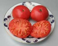 Коллекционные семена томата Соловей разбойник