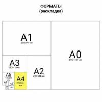 Главная книга, форма окуд 0504072, 48 л, картон, блок офсет, А4 (292х200 мм), STAFF, 130075 (арт. 130075)