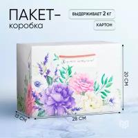 Пакет—коробка подарочный «Хорошего настроения», 28 × 20 × 13 см