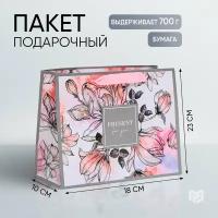 Пакет ламинированный горизонтальный ТероПром 4725099 «Present for you», MS 23 × 18 × 10 см