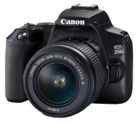 Цифровой фотоаппарат Canon EOS 250D kit 18-55 f/4-5.6 DC III