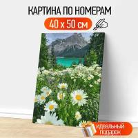 Картины по номерам арт.GX29451 Ромашки 40х50 см