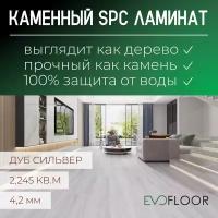 SPC ламинат Evofloor Optima Click - Дуб Сильвер