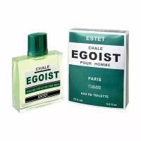 POSITIVE PARFUM Туалетная вода CHALE EGOIST ESTET men 90 мл