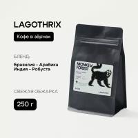 Кофе в зернах смесь 70% арабика/30% робуста свежей обжарки Monkey Forest Lagothrix 250 гр