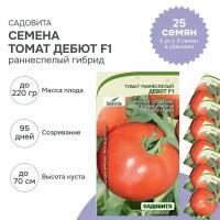 Семена томатов Дебют