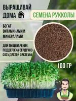 Руккола. Рукколы микрозелень . Семена для проращивания 100 грамм