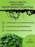 Семена цветов Дихондра "Изумрудный водопад" F1, серия Профи, О, 15 шт