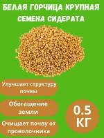 Семена горчицы сидерат 0,5 кг