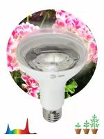 Лампа AD22DS(LED) матрица 22мм зел. 230В BLS10-ADDS-230-K06E ЭРА Б0045619