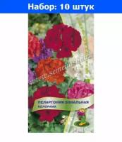 Пеларгония Колорама зональная 0,05г Комн 35см (Поиск) - 10 пачек семян